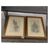 WOOD FRAME FERN PRINT