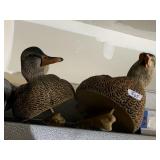 AVIAN X PEACOCK MALLARD DECOYS FOR WATERFOWL