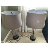 2 LAMPS GLASS CENTER GRAY SHADES