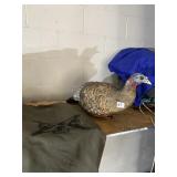 AVIAN TURKEY DECOY