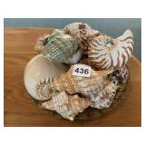 ASSORTED SEASHELLS IN BOWL