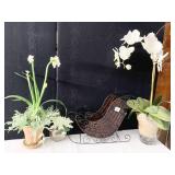 WICKER SLED, ARTIFICIAL PLANTS