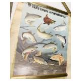 POSTERS INC FISH OF PENNSYLVANIA, PARIS, ETC.