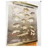 POSTERS INC TURTLES OF PENNSYLVANIA, FROGS, FISH,