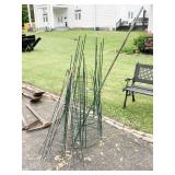 TOMATO STAKES