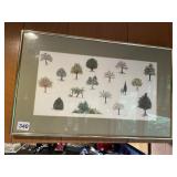 FRAMED PRINT OF VARIOUS TREES & SHRUBS