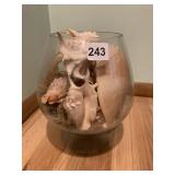 LARGE BRANDY GLASS WITH A SORDID SHELLS
