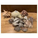 GLASS STAR FISH AND ASSORTED SHELLS