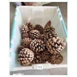 PINECONES IN FLIP TOP TOTE