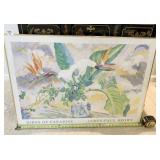 JAMES-PAUL BROWN SIGNED FRAMED POSTER 901H