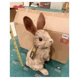 HILINE NEW RABBIT IN BOX