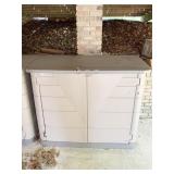 2 DOOR STORAGE CABINET W/ HINGED TOP