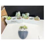 ARTIFICIAL SUCCULENT PLANTS