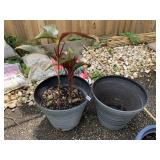 TWO MATCHING PLANT POTS, ONE W/ LIVE PLANT