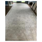 VERY LARGE AREA RUG 31FT X 10FT WITH MAT