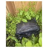 BAG OF CEMENT PROTECTED IN PLASTIC