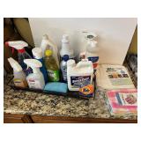 BIO CLEAN CLOTHS, DISH RAGS, FABULOSO, GLASS