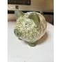 PIGGY BANK