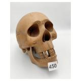CARVED WOOD SKULL NICE DETAIL