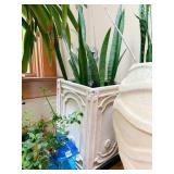 COMPOSITION SQ. PLANTER W/ BLACK CLORAL SNAKE