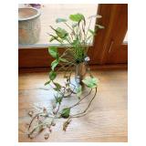 LIVE PLANT IN UNUSUAL VASE