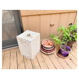 LIVE PLANT AND PLANTERS AND STAND