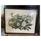 SIGNED JEANNE HOLGATE RACCOON BOTANICAL PRINT