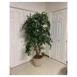 ARTIFICIAL FICUS TREE IN BASKET PLANTER