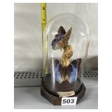 BUTTERFLIES UNDER GLASS