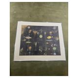 ABSTRACT FISH PRINT AND LANDSCAPE PRINT ON BOARD