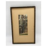 WISTERIA GATE BY WALLACE NUTTING FRAMED BUT NO