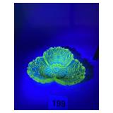 EAPG DAISY AND BUTTON URANIUM DISH