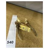 DEER ANTLER