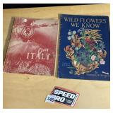 OVER ITALY 1947 AIR FORCE BOOK , SPEED PRO PATCH,