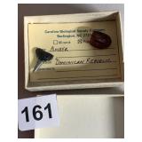 AMBER FOSSIL FROM DOMINICAN REPUBLIC AND TOOTH