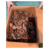 BOX OF PINECONES IN VINTAGE CAMPBELL