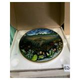 2 COLLECTOR PLATES IN BOX