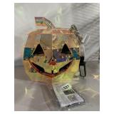 IRIDESCENT PLASTIC JACK-O-LANTERN LIGHT W/ POWER
