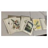 AUDUBON BIRDS OF AMERICA BOOK, BIRD NEIGHBORS