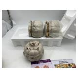 TEMP-TATIONS VERONA CERAMIC PUMPKIN BAKING