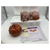 TEMPTATIONS VERONA CERAMIC PUMPKIN BAKING DISHES,
