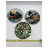 AMERICAN WATERBIRDS AND NORTH AMERICAN GAME BIRDS