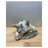 LARGE NATURAL CONCH SHELL, OCEANIC DECOR.