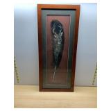 WOOD FRAMED FEATHER, BOTANICAL SPECIMEN DISPLAY,