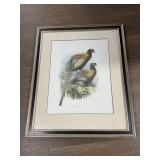J. WOLF & SMIT SIGNED LITHO PRINT, PHASIANUS