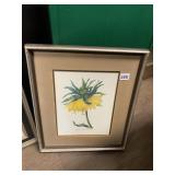 P. J. REDOUTE BOTANICAL PRINT, 'FRITILLAIRE