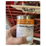 WALMART MASTERSEAL COLOR PACKS, DORIAN GRAY OLD