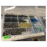 PLASTIC ORGANIZER CASE W/ ASSORTED SCREWS,