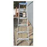 ALUMINUM EXTENSION LADDER W/ HOOK-ON PAINT TRAY.