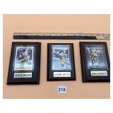 PITTSBURGH STEELERS FOOTBALL PLAYER PLAQUES,